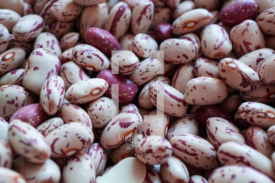 spanish red beans in the market