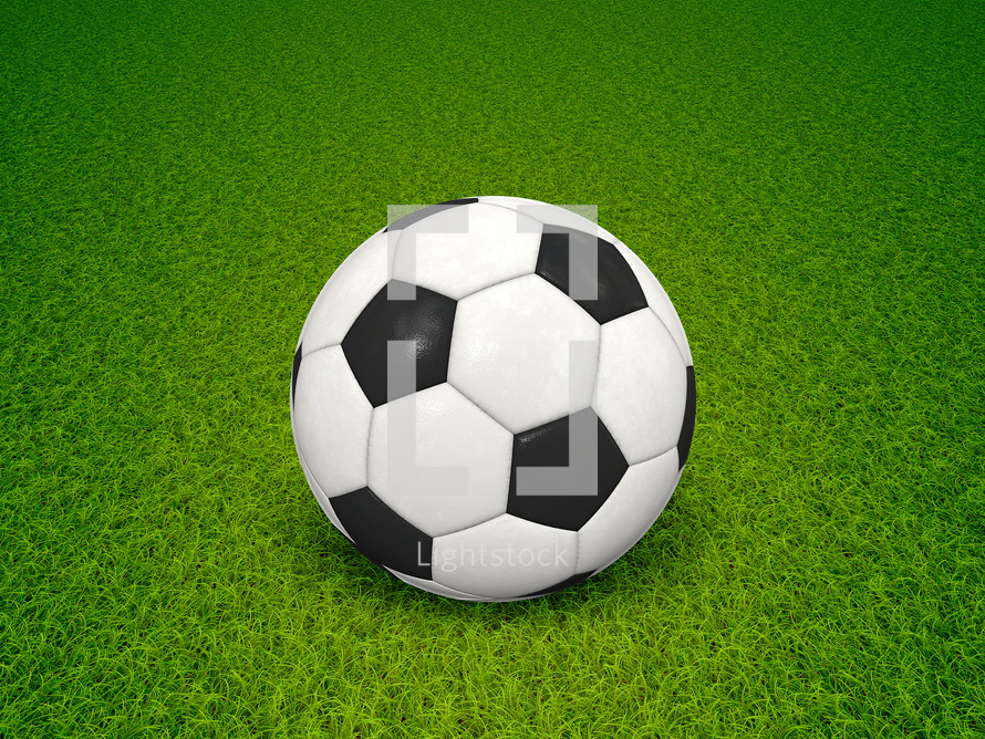 soccer ball in grass 