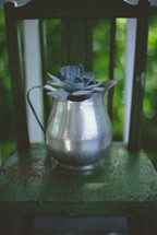 succulent plant in a silver pitcher 