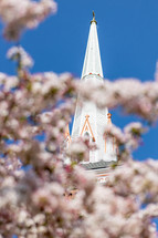 church steeple seen through tree blossoms