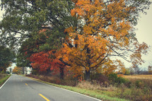 rural road in fall 