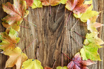 border of fall leaves on a wood background 