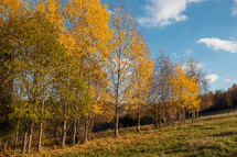 Autumn Scenery of Meadows in Rural Village Polomka, Slovakia