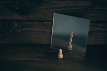 chess pieces in a mirror 