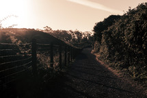 path at sunset 