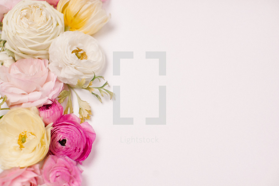 border of flowers on a white background 