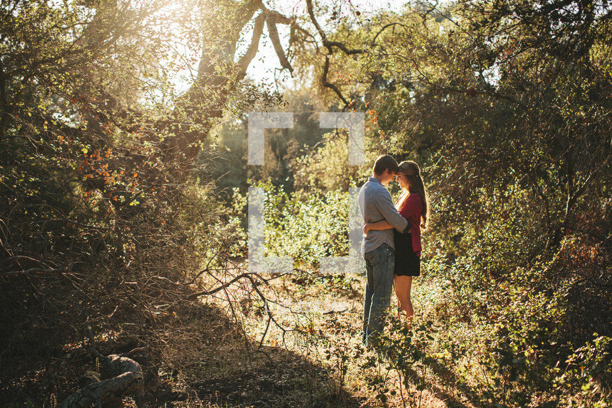 sunlight shining on a couple hugging outdoors under a tree 