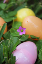 plastic Easter eggs in the grass and a fuchsia flower
