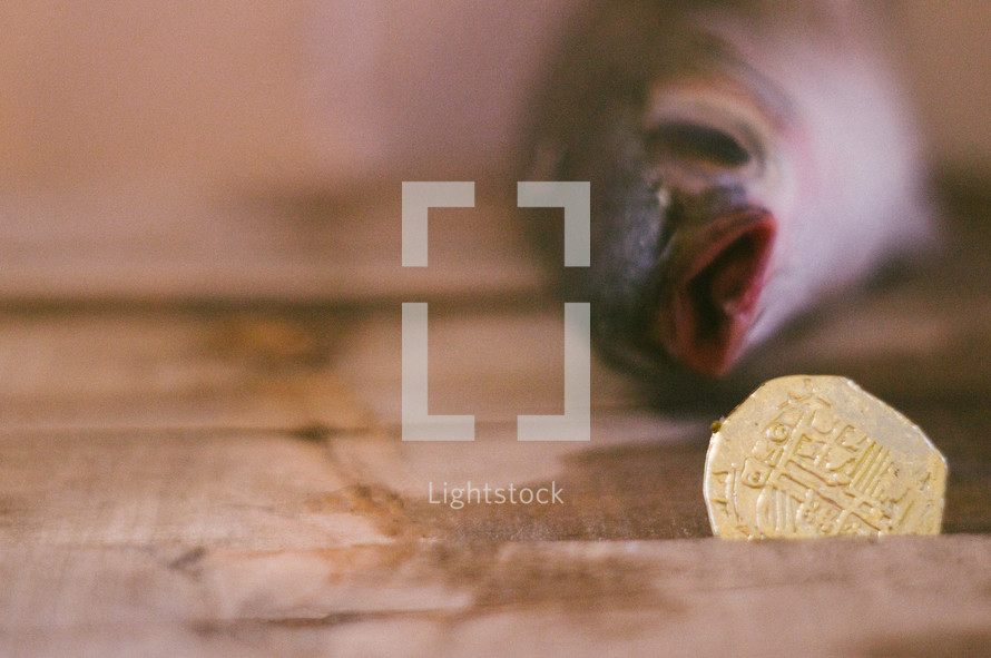A coin from a fish's mouth. 
