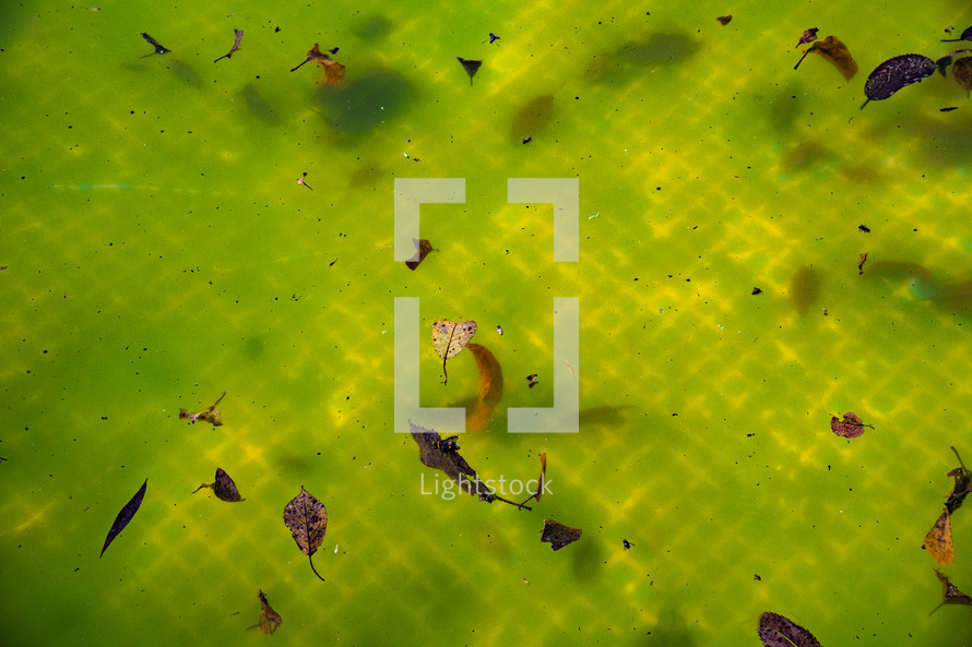 Green Yellow Water In Swimming Pool,Problem Service Concept.dirty Abandoned Pool. High quality photo