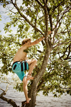 man climbing a tree near water 