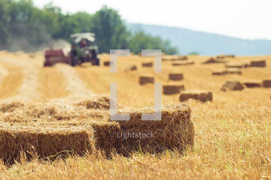 tractor and hay 