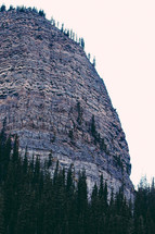 steep mountain cliff and evergreens 