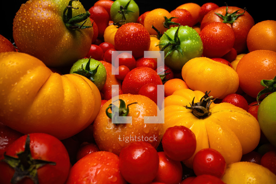 Extreme macro tomatoes variety background. Fresh food, ripe raw organic vegetable harvest. Farming, agriculture concept. Maturation process. High quality