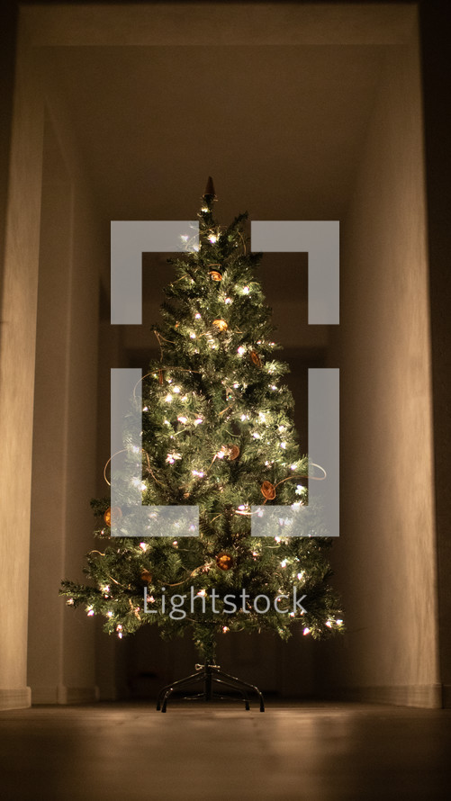 white lights on a Christmas tree 