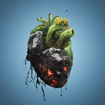 A human heart is covered with tar and death on one side and flowers and life on the other