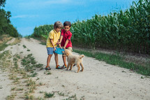 Toddlers twins brothers Playing Frisbee with golden retriever puppy on wonderland country road. Amazing sunset light. Kids with doggy. Happy friendly pet, cinematic unforgettable moments. High quality