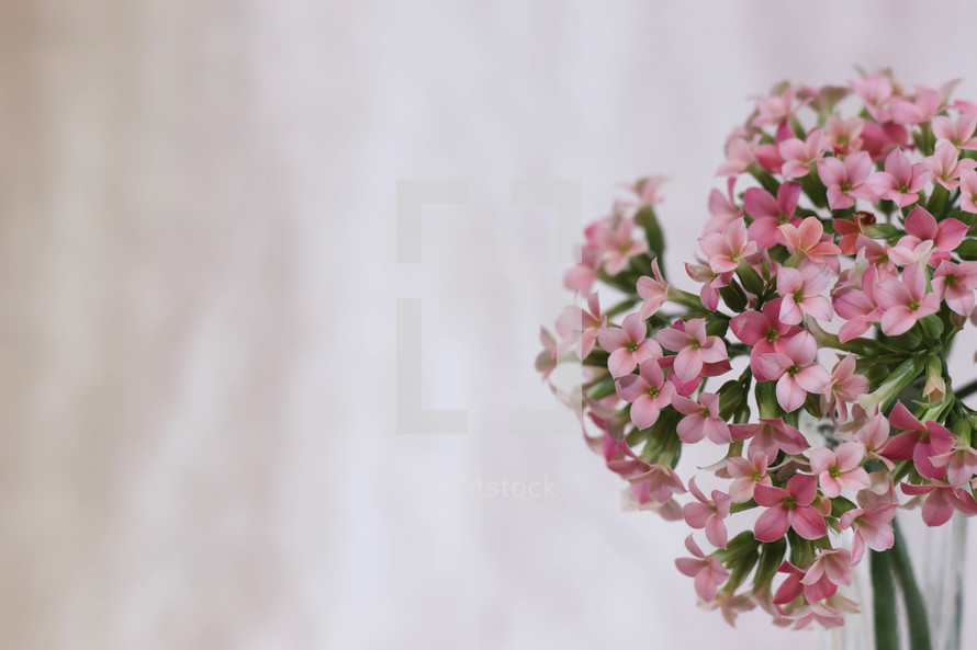 bouquet of pink flowers 