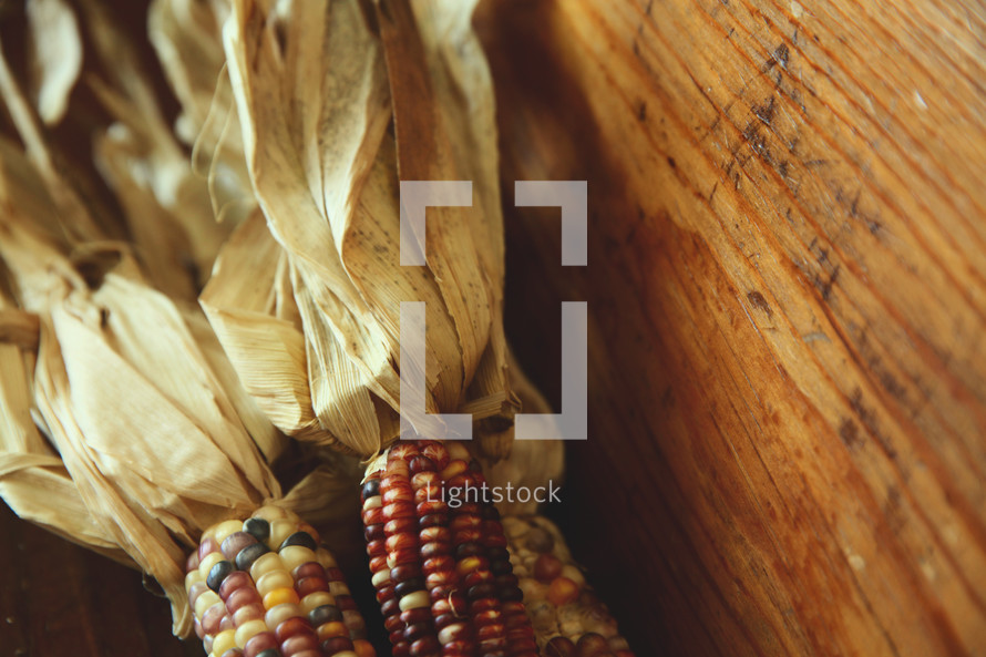 dried corn on wood 