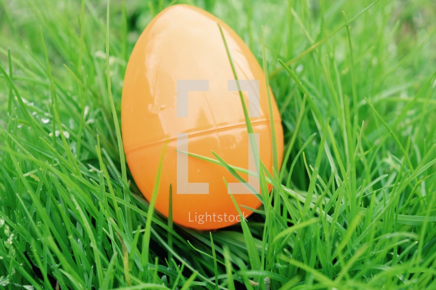 An orange Easter Egg in wet green grass during an Easter egg hunt 