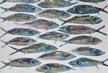 Graphic shoal of fish with big eyes