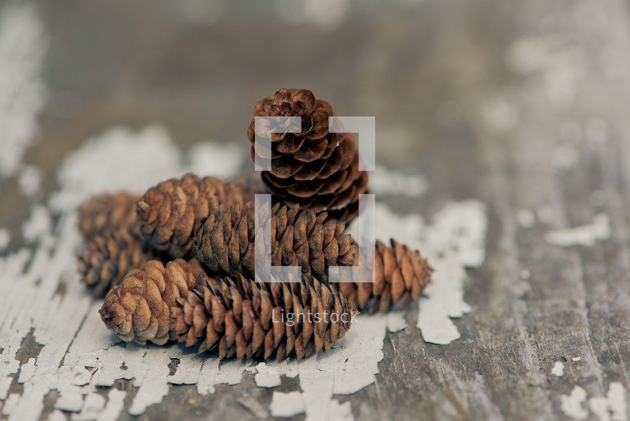 Pine cones on a board with peeling white paint.