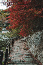 fall foliage and stone path 