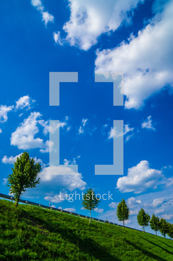 trees on a green hill and blue sky 
