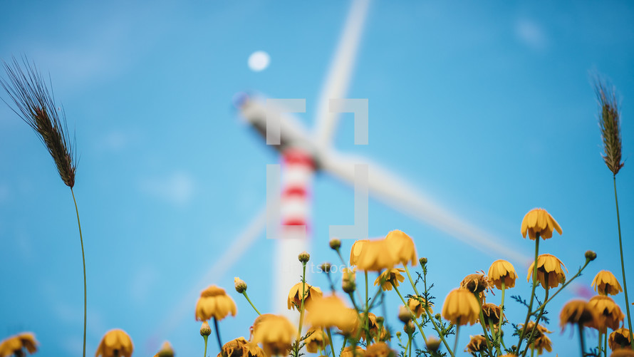 Spinning Wind turbine over yellow flower ecology concept
