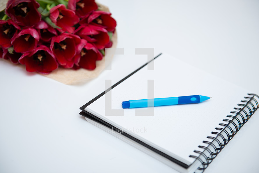 Flat lay of red bouquet tulips isolated on white with notebook and pen with empty place for your text