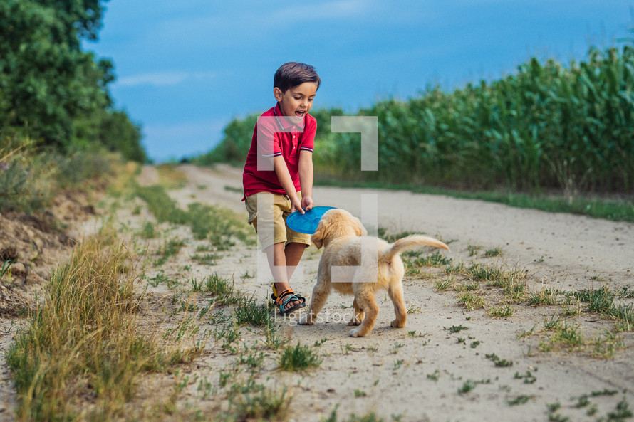 Handsome little boy playing frisbee with his beloved golden retriever puppy dog on countryside road, nature.