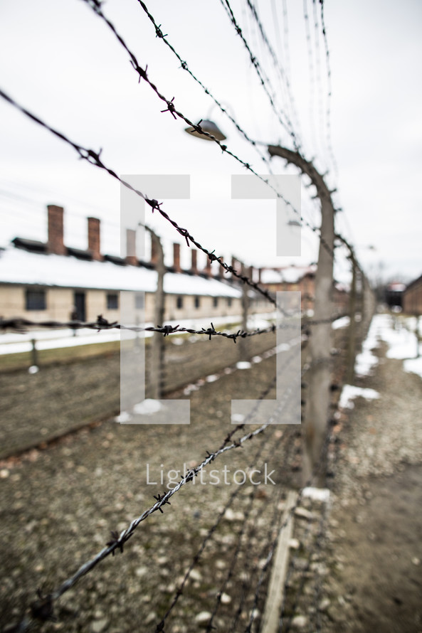 barbed wire fence at Auschwitz