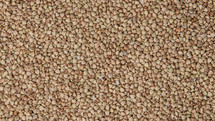Raw buckwheat grains background texture with place for text