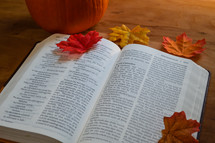 fall leaves on page of an open Bible 