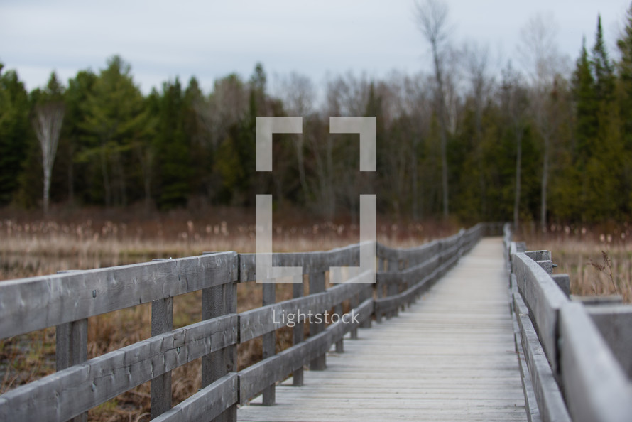wooden boardwalk over a marsh 