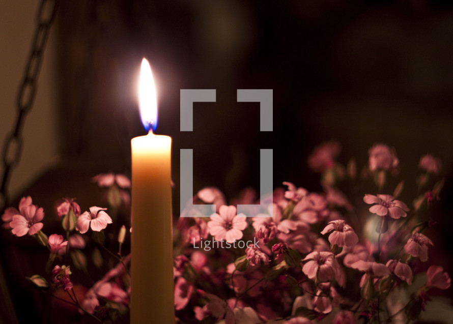 Beautiful cozy background - wax candle with pink flowers. Energy saving, analog light. Copy space.