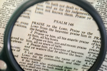 Psalm 148 under a magnifying glass 