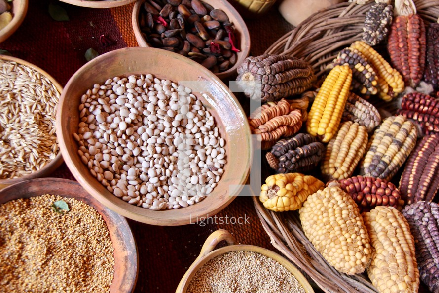 corn and beans in Peru 