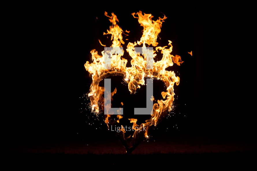 heart shape of flames 