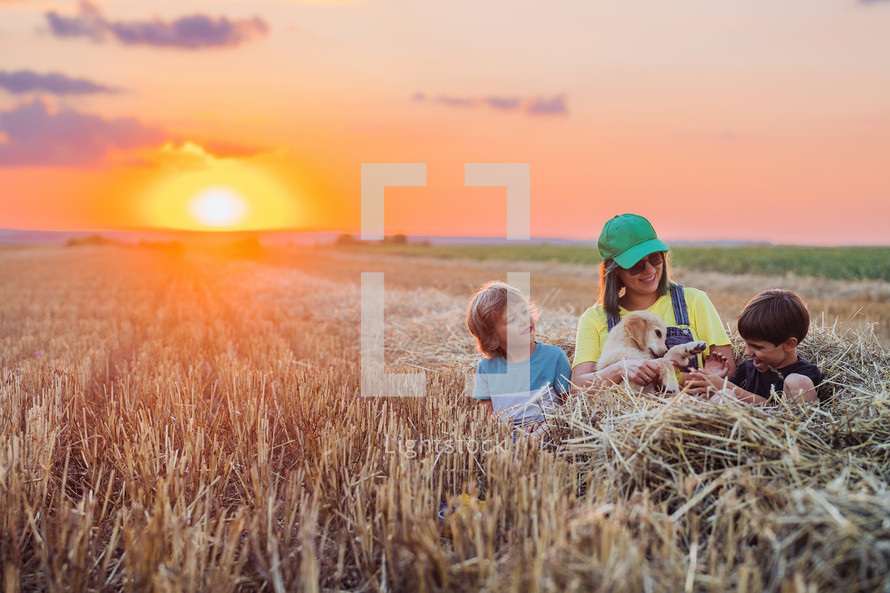 Babies brothers twins with mother and golden retriever puppy in wheat field. Amazing sunset light. Kids laughing, playing with doggy. Happy friendly pet, cinematic unforgettable moments. High quality