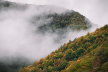 Autumn forest in the foggy mountains