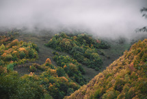 Foggy autumn forest in the mountains