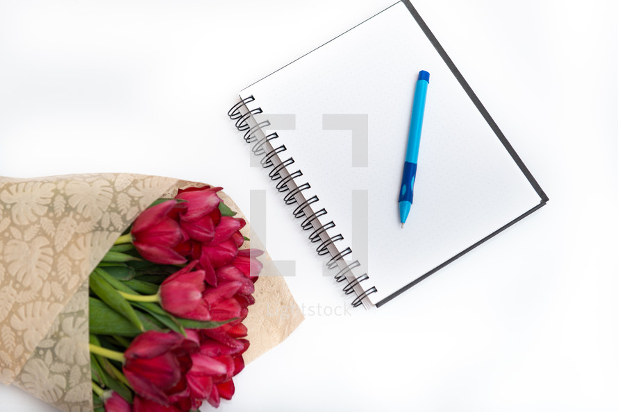 Top view flat lay of red bouquet tulips isolated on white with notebook and pen with empty place for your text