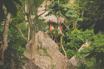 thatched straw roofs on tree houses in a jungle 