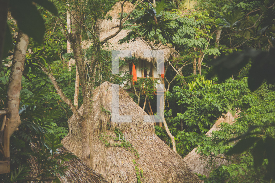 thatched straw roofs on tree houses in a jungle 