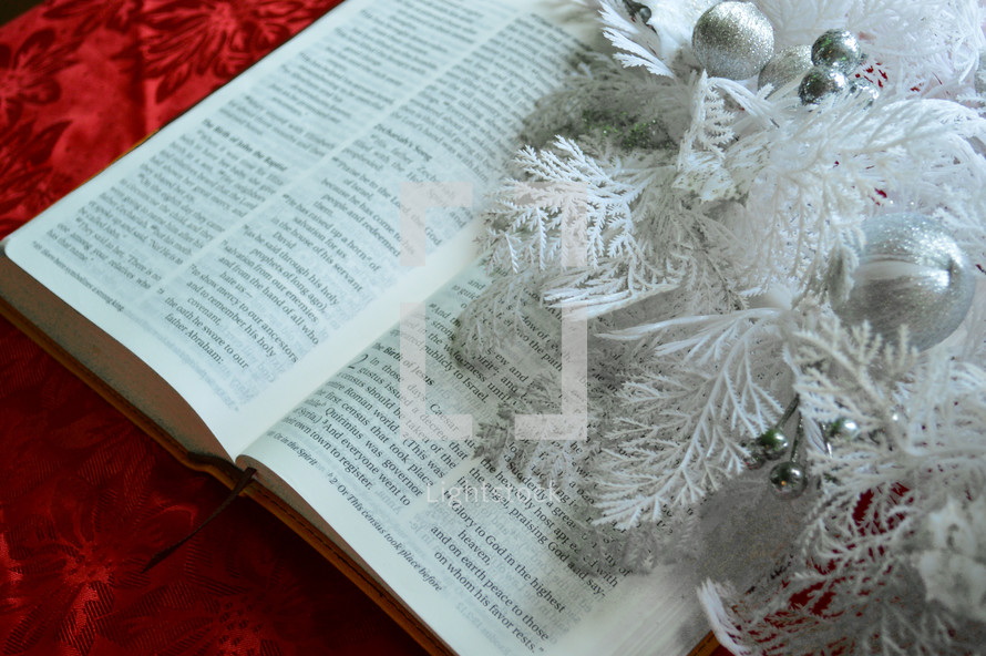 white Christmas greenery on the pages of a Bible 