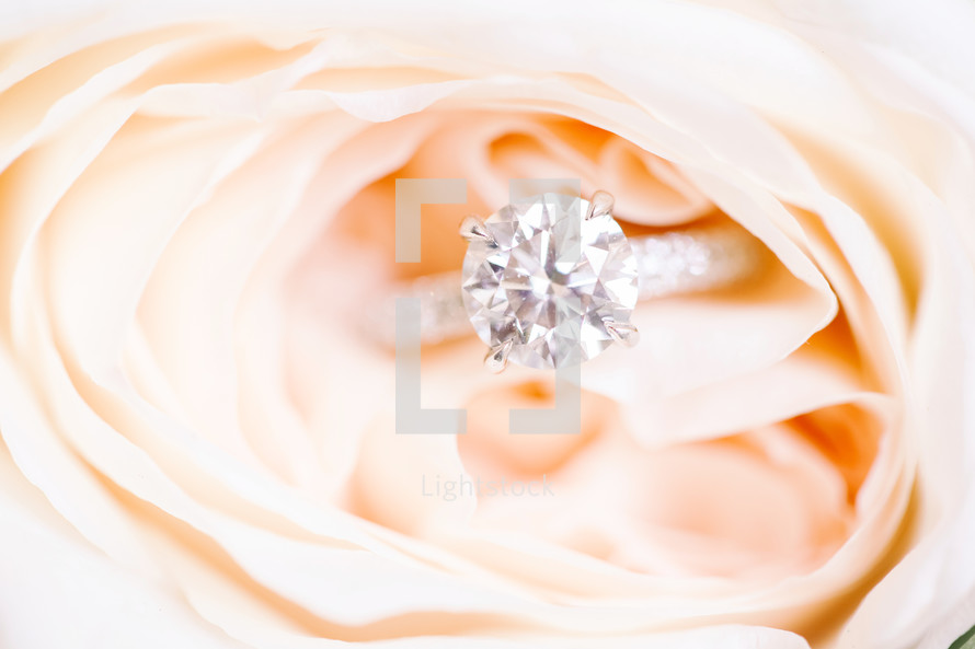 diamond ring in a peach rose 