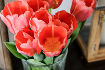 red tulips in a vase 