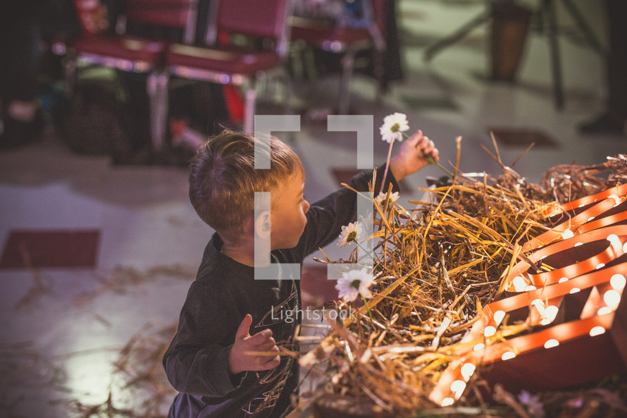 child placing flowers in a manger 