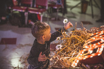 child placing flowers in a manger 